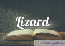 Lizard