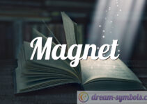 Magnet