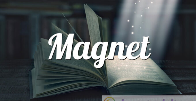Magnet