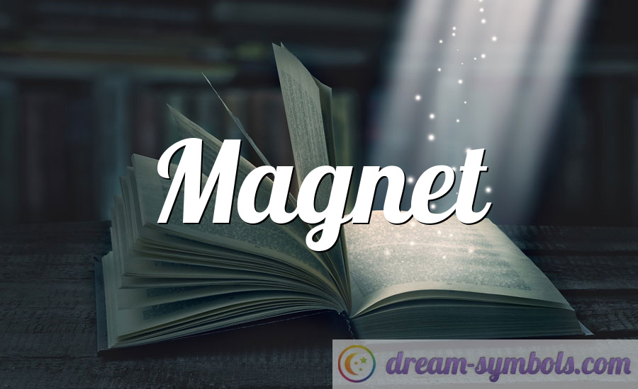 Magnet