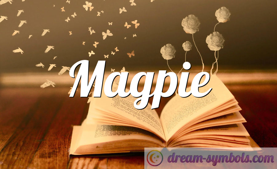 Magpie