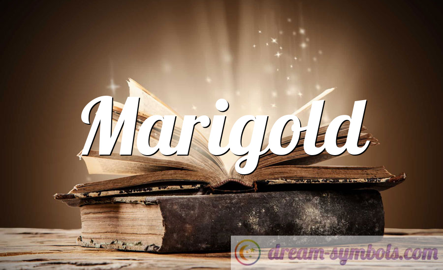 Marigold