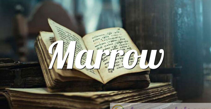 Marrow