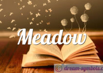 Meadow Meadow