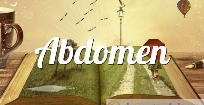 Abdomen