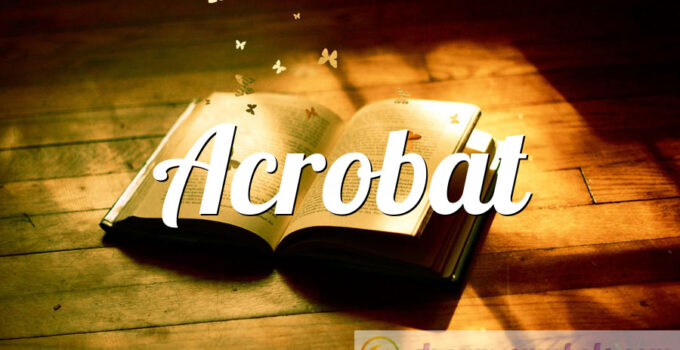 Acrobat