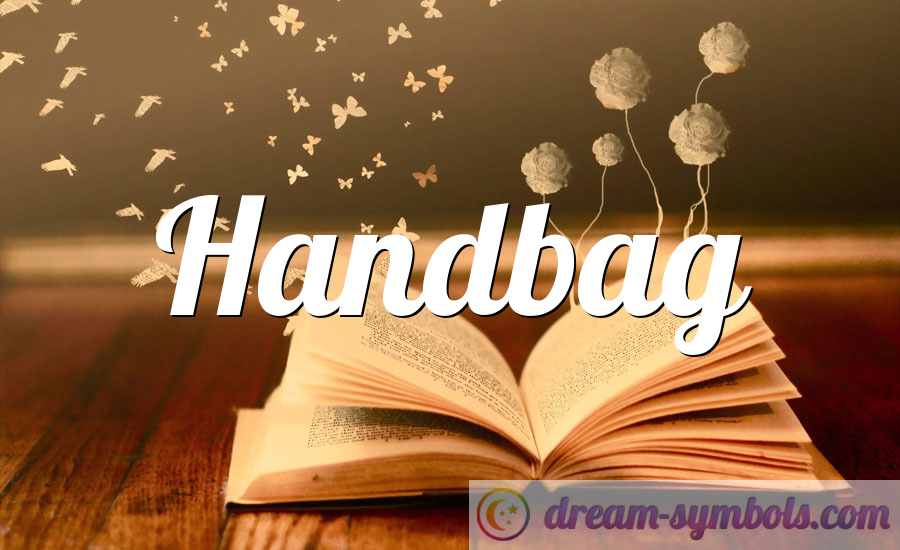 Handbag, purse Dream Meaning and interpretation