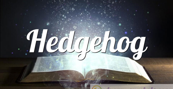 Hedgehog