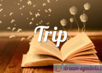 Trip