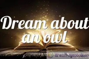 Dream about an owl